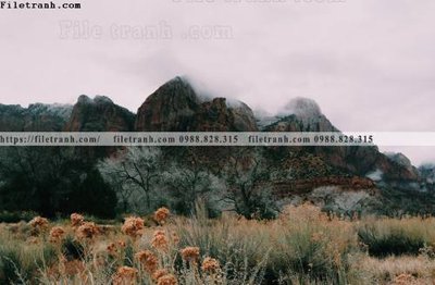 Hình ảnh gốc nhung buc tranh phong canh ngang 623 (để in khổ lớn)