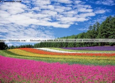 Tải file nhung buc tranh phong canh ngang 649 (gốc) in nhanh