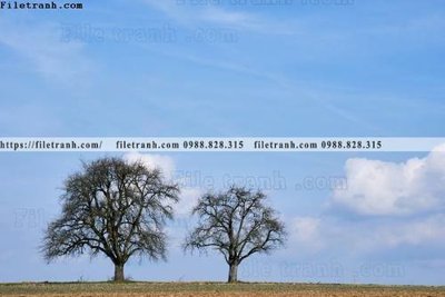 File ảnh gốc nhung buc tranh phong canh ngang 695 không vỡ nét