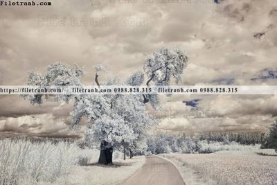 File gốc nhung buc tranh phong canh ngang 702 (cho in UV) siêu nét