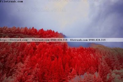 Tải file nhung buc tranh phong canh ngang 715 (gốc) chủ đề tôn giáo