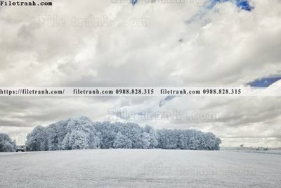 Tải file PSD nhung buc tranh phong canh ngang 724 (nguyên layer) để in