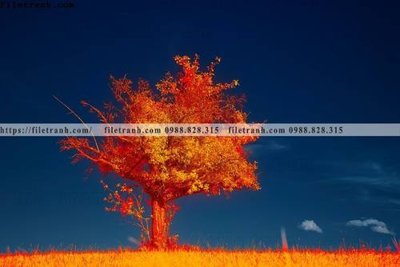 File gốc nhung buc tranh phong canh ngang 734 (in lụa) tranh mã đáo