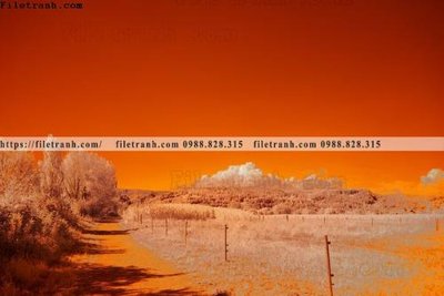 File in mica nhung buc tranh phong canh ngang 735 (bản gốc) làm vách ngăn