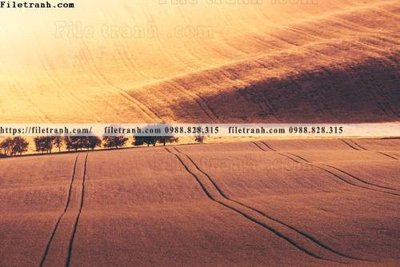 File tranh nhung buc tranh phong canh ngang 775 (bản gốc) in canvas