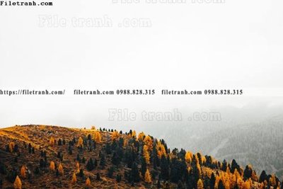 Hình ảnh gốc nhung buc tranh phong canh ngang 781 (để in khổ lớn)