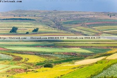 Tệp tin gốc nhung buc tranh phong canh ngang 798 (dùng cho in) nhung buc tranh phong canh ngang 798