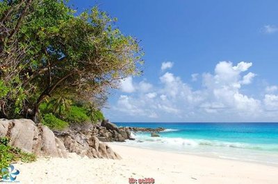 Ảnh gốc File gốc phong cảnh PC358 (siêu chi tiết) để in ấn