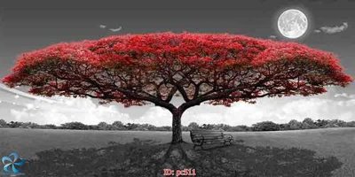 File gốc File gốc phong cảnh PC511 (phong cách) châu Âu