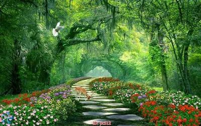 Tải file File gốc phong cảnh PC512 (ảnh gốc) độ phân giải 300dpi