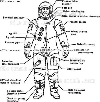 Tải file phac thao duong hang khong vu tru 1517 (gốc) làm tranh treo tường