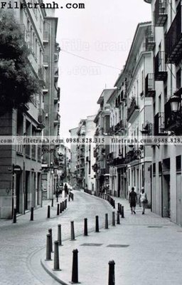 File gốc phien ban doc cua duong pho 134 (in mica) trang trí