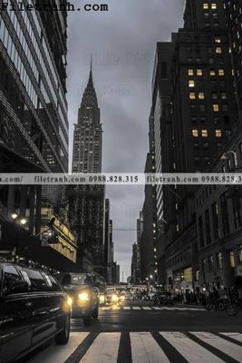 File tranh in trần 3D phien ban doc cua duong pho 175 (ảnh gốc)