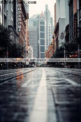 File tranh phien ban doc cua duong pho 210 (gốc) chủ đề con người