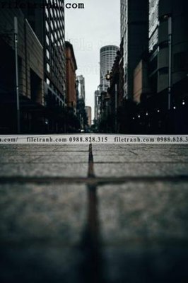 File in ấn phien ban doc cua duong pho 211 (bản gốc) cao cấp