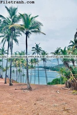 Download file phien ban doc cua phong canh cay co dua 111 (gốc) in mica ốp bếp