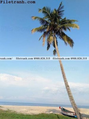 Download file gốc phien ban doc cua phong canh cay co dua 114 (in lụa) cao cấp