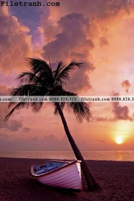 Chi tiết file ảnh phien ban doc cua phong canh cay co dua 123 sắc nét