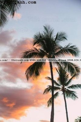 File tranh phien ban doc cua phong canh cay co dua 126 (gốc) chủ đề thành phố