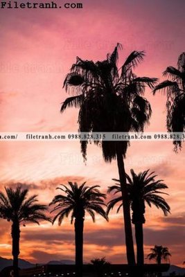 Tải file phien ban doc cua phong canh cay co dua 128 (ảnh gốc) in tranh kính