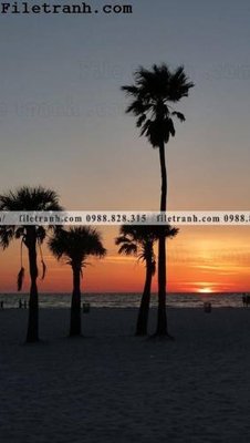 File ảnh gốc phien ban doc cua phong canh cay co dua 129 không vỡ nét