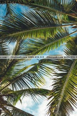 File in trần phien ban doc cua phong canh cay co dua 140 (bản gốc) trời sao