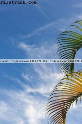 File tranh in trần phien ban doc cua phong canh cay co dua 161 (ảnh gốc siêu nét)