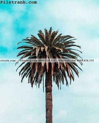 File gốc phien ban doc cua phong canh cay co dua 170 (in mica) cắt laser