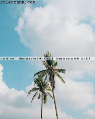 File tranh phien ban doc cua phong canh cay co dua 172 (gốc) in vải canvas