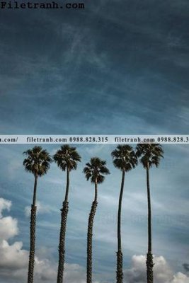 File in mica phien ban doc cua phong canh cay co dua 179 (bản gốc) sắc sảo