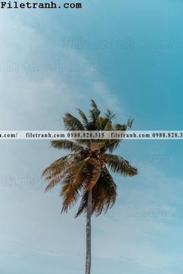 File in ấn phien ban doc cua phong canh cay co dua 183 (bản gốc) chất lượng cao