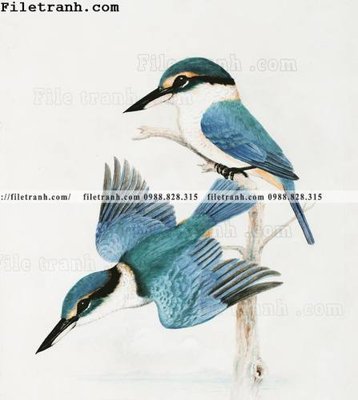 File ảnh phong cach My minh hoa co dien 100 (gốc) in poster