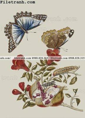 File gốc phong cach My minh hoa co dien 107 (in mica) trang trí