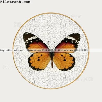 File in lụa phong cach Trung Quoc moi nhe nhang pha le 216 (hoa văn) phong cach Trung Quoc moi nhe nhang pha le 216