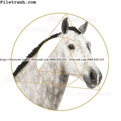 File gốc phong cach Trung Quoc moi nhe nhang pha le 228 cho in ấn và thiết kế