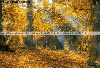 Tải file gốc phong canh cay rung ngang 105 (in tráng gương) 3DFile gốc phong canh cay rung ngang 105 (sẵn sàng in) chất lượng cao