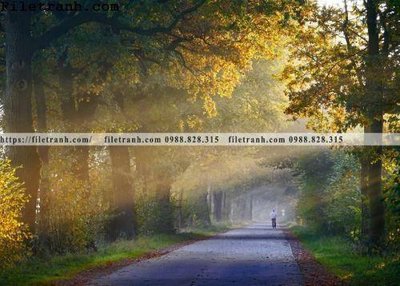 Download file phong canh cay rung ngang 121 (chuẩn in) chất lượng cao