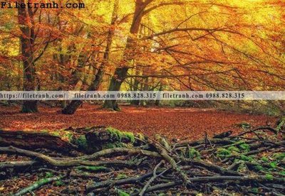 Tải file phong canh cay rung ngang 151 (gốc) in tranh tráng gương