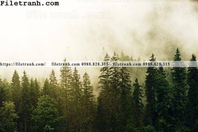 Tải file phong canh cay rung ngang 176 (gốc) chủ đề tôn giáo