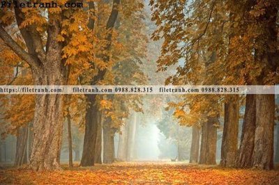 Tải file tranh phong canh cay rung ngang 178 (ảnh gốc) ngay