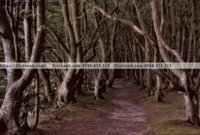 File tranh phong canh cay rung ngang 184 (ảnh gốc) độc quyền