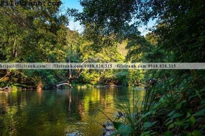 File PSD phong canh cay rung ngang 188 (nguyên gốc) chất lượng cao