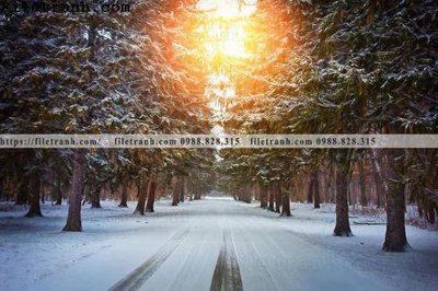 Tải file phong canh cay rung ngang 210 (gốc) in ấn ngay lập tức