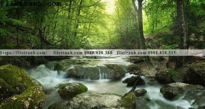 File gốc phong canh cay rung ngang 216 (ảnh rõ nét) để in