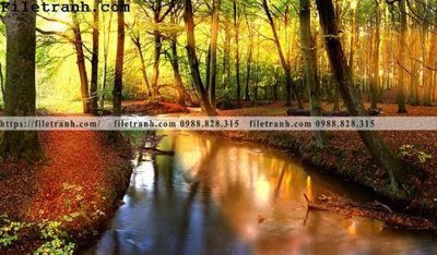 Tải file phong canh cay rung ngang 219 (gốc) in tranh tráng gương