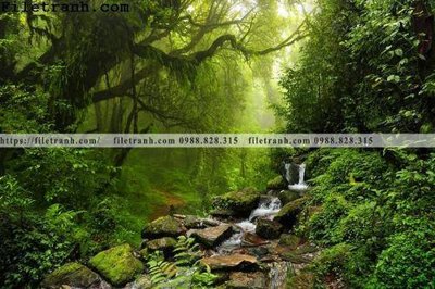 File tranh phong canh cay rung ngang 230 (bản gốc) in canvas