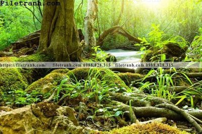 File tranh phong canh cay rung ngang 233 (gốc) chủ đề động vật