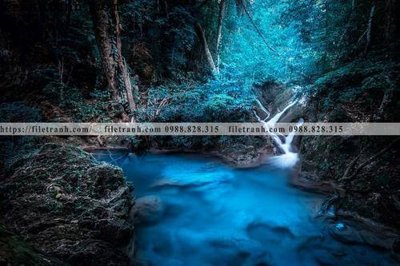 File tranh phong canh cay rung ngang 236 (ảnh gốc) in trần nhà