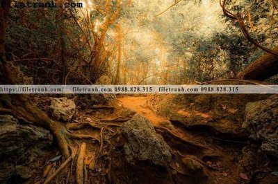 Download file phong canh cay rung ngang 238 (gốc) cho xưởng in