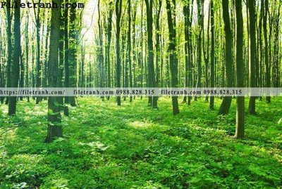 File tranh phong canh cay rung ngang 255 (gốc) chủ đề trẻ em